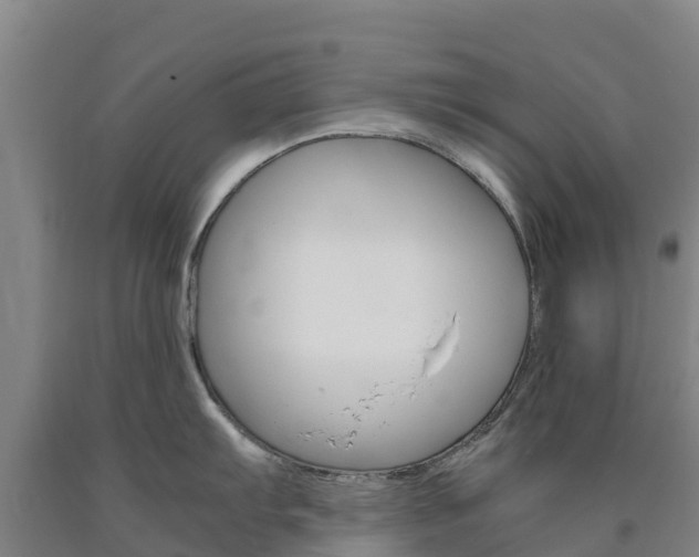 X0000090921103200707301048