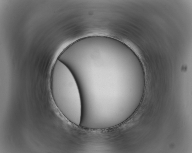 X0000090921104200707301048