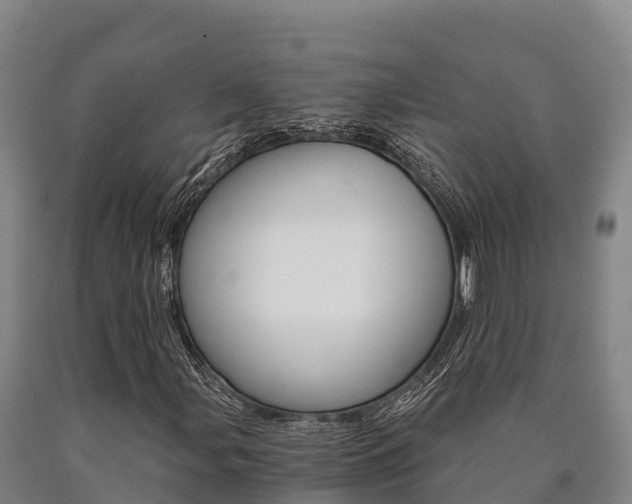 X0000090921107200707301048