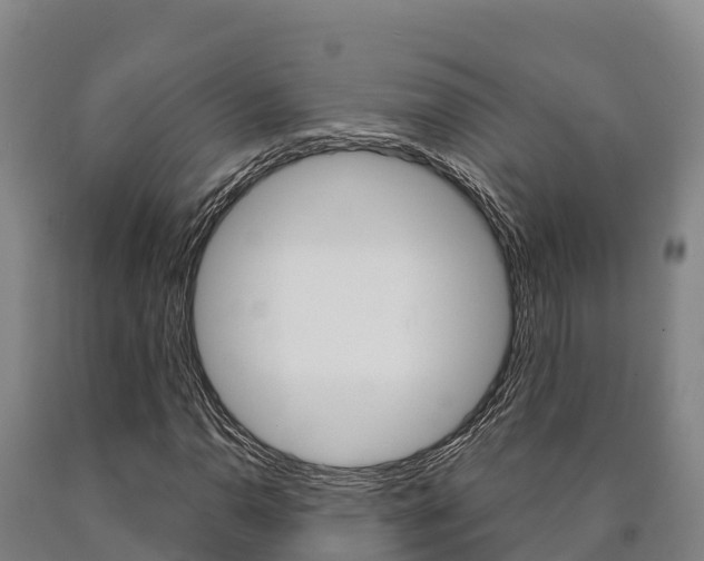 X0000090921110200707301048