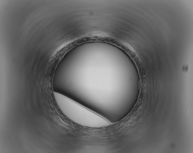 X0000090921112200707301048