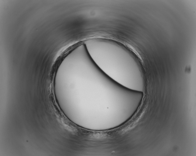 X0000090921117200707301048