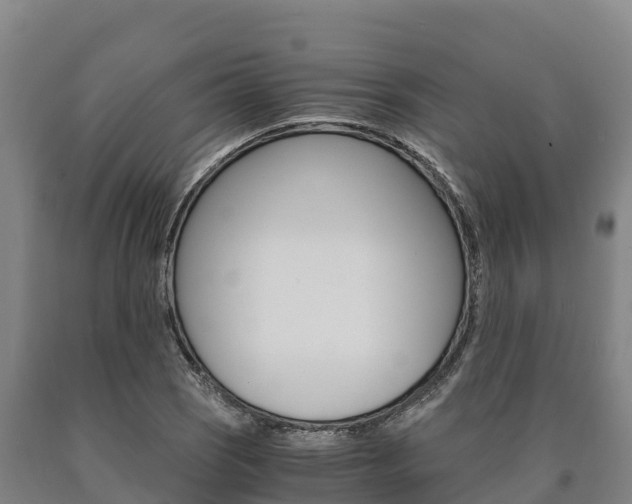 X0000090921121200707301048