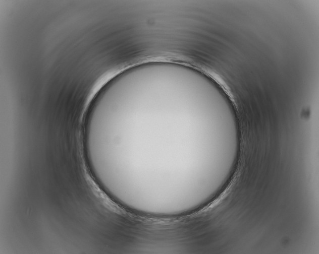 X0000090921122200707301048