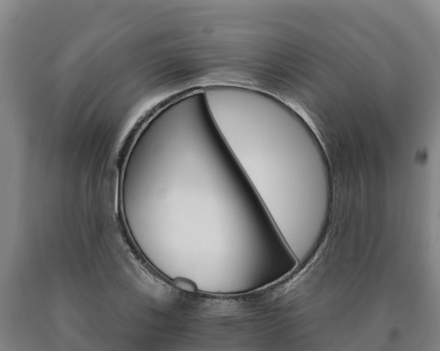 X0000090921123200707301048