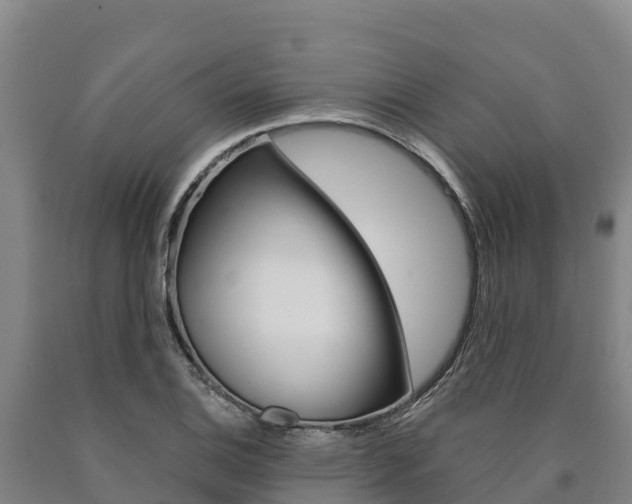 X0000090921124200707301048