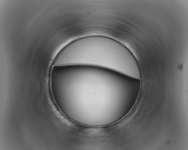 X0000090921134200707301048