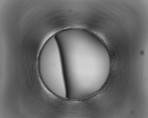 X0000090921135200707301048