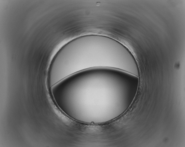 X0000090921136200707301048