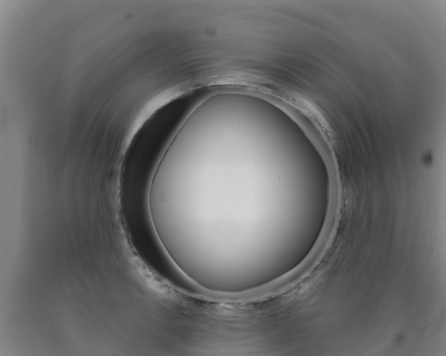 X0000090921138200707301048