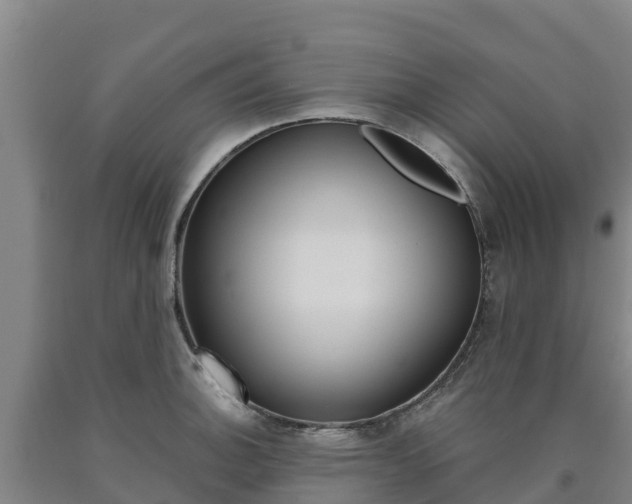 X0000090921140200707301048