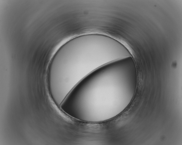 X0000090921142200707301048