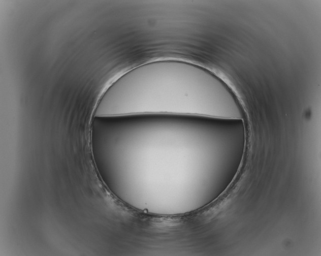 X0000090921145200707301048