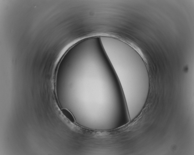 X0000090921148200707301048