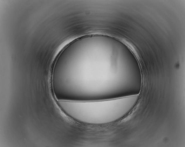 X0000090921149200707301048