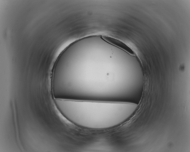 X0000090921151200707301048