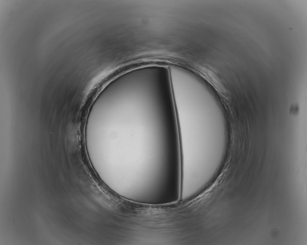 X0000090921164200707301047