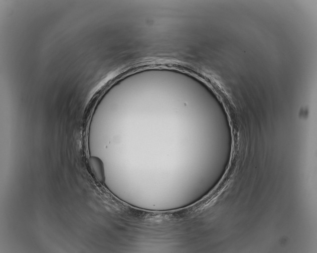 X0000090921165200707301047