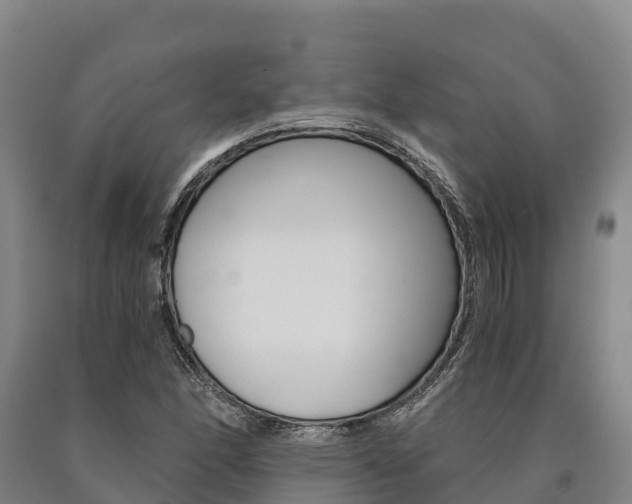 X0000090921166200707301047