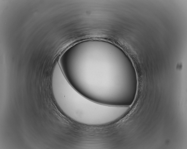 X0000090921169200707301047