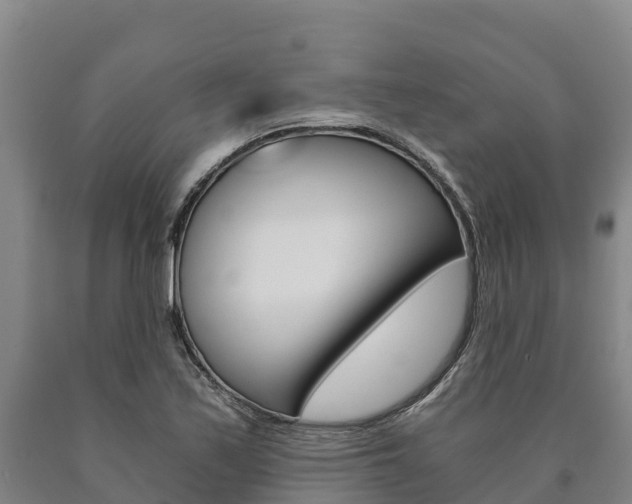 X0000090921171200707301047