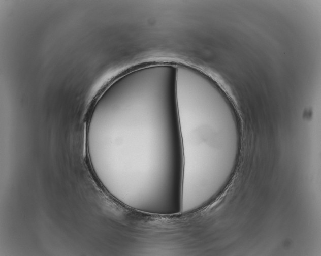 X0000090921175200707301047