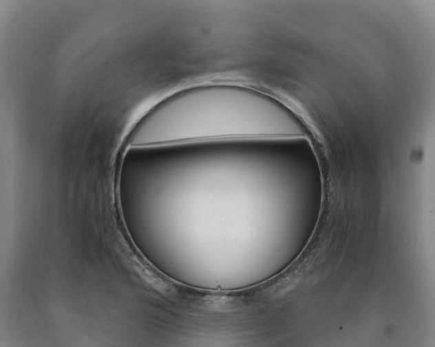 X0000090921176200707301047