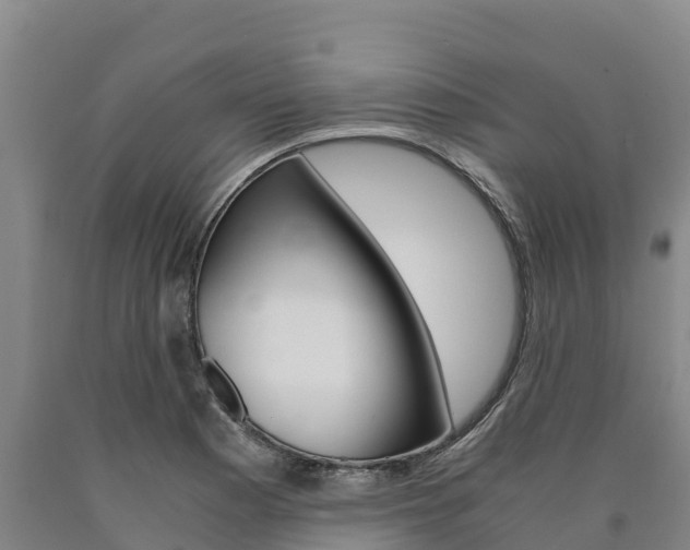 X0000090921177200707301047