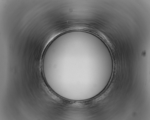 X0000090921178200707301047