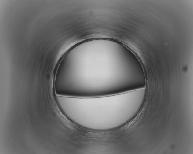 X0000090921179200707301047