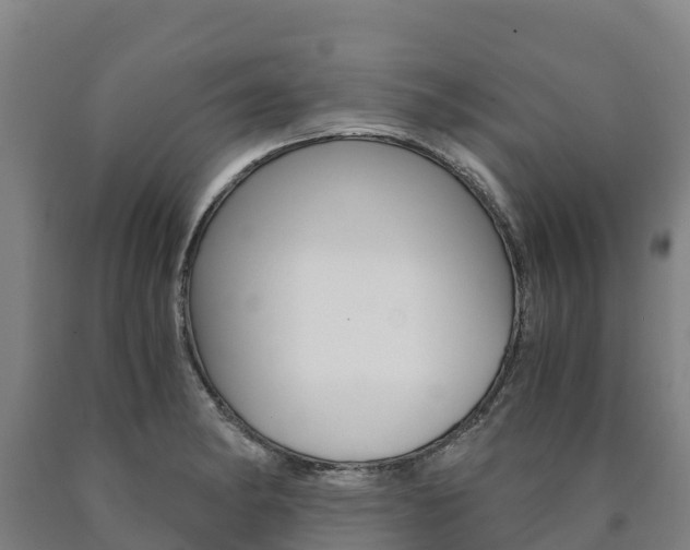 X0000090921182200707301047