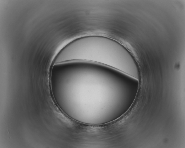 X0000090921184200707301047