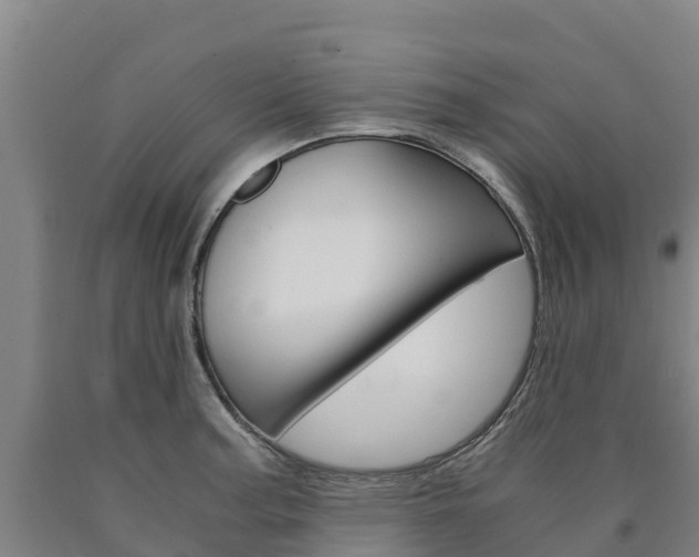 X0000090921187200707301047