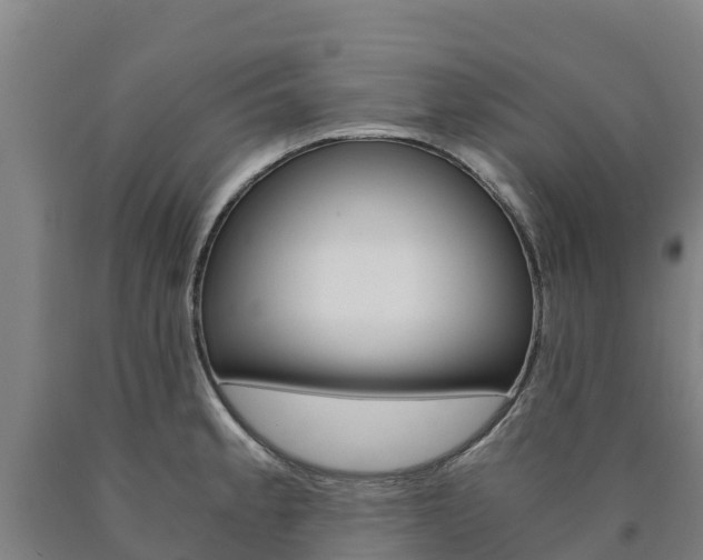 X0000090921189200707301047