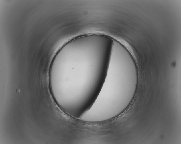 X0000090921191200707301047