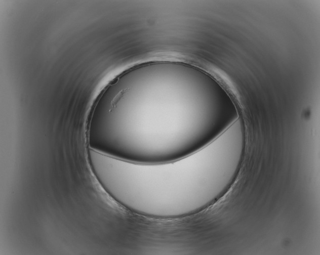 X0000090921192200707301047
