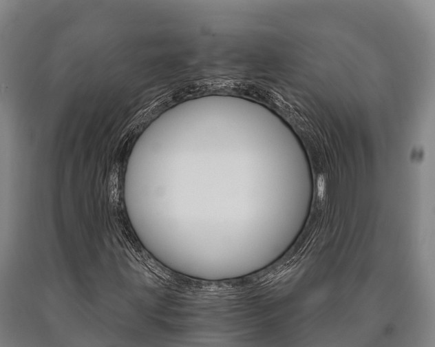 X0000090921203200707301046