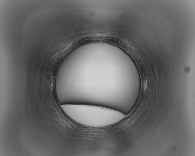 X0000090921204200707301046