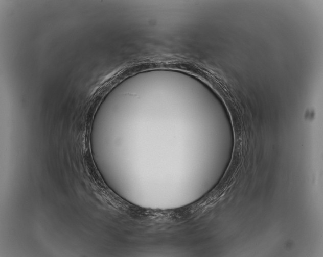 X0000090921205200707301046