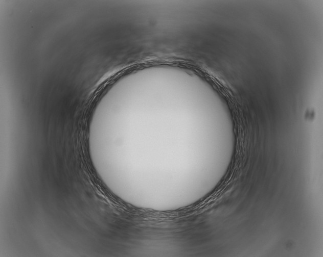 X0000090921206200707301046
