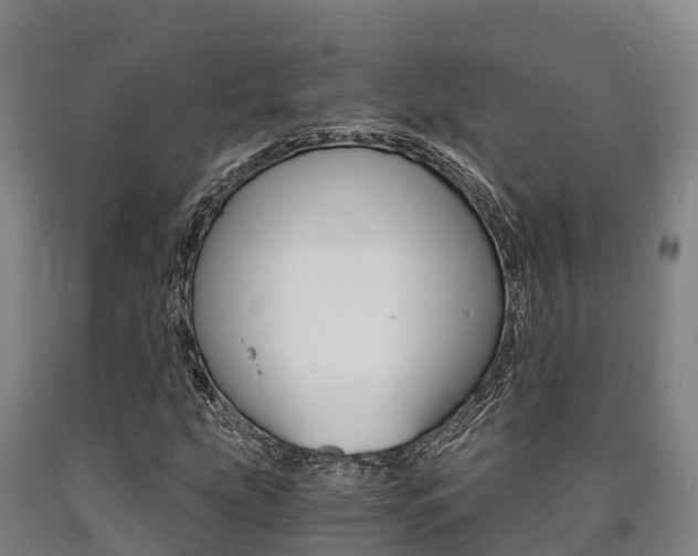 X0000090921207200707301046