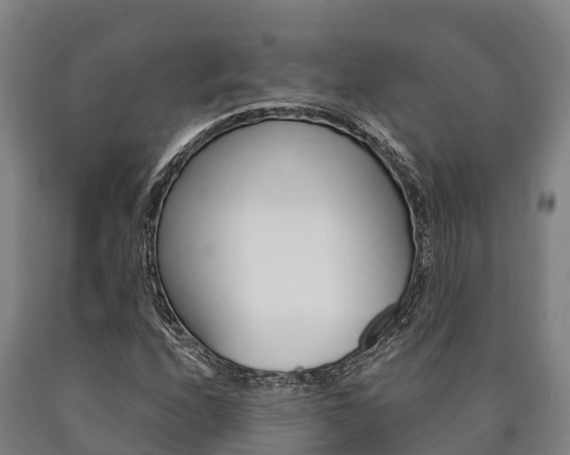 X0000090921208200707301047