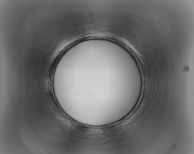 X0000090921215200707301047