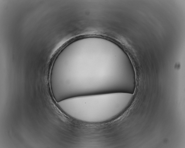 X0000090921216200707301047