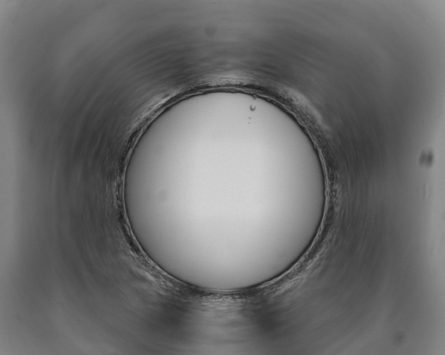 X0000090921217200707301047