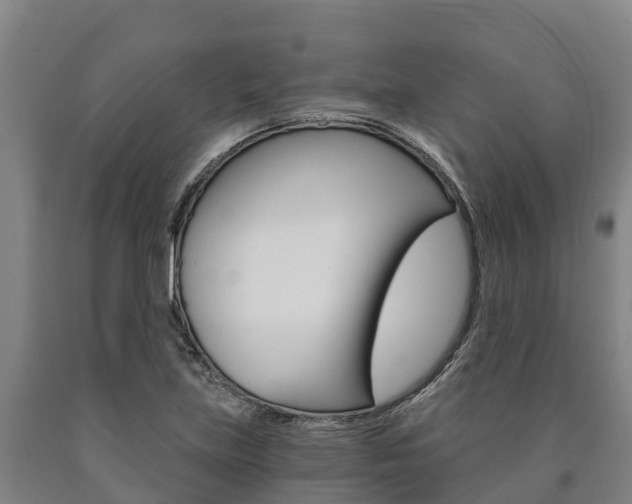 X0000090921219200707301047