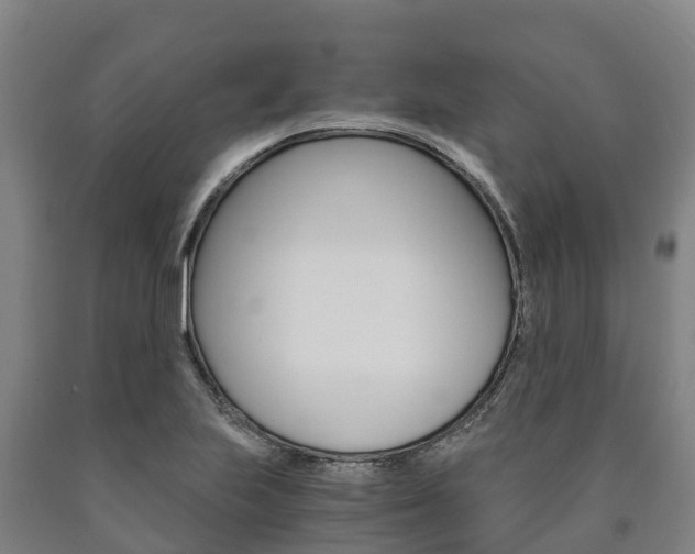X0000090921223200707301047