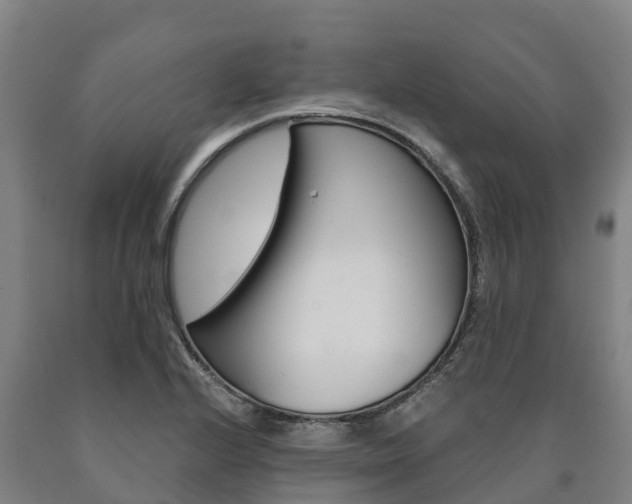 X0000090921224200707301047