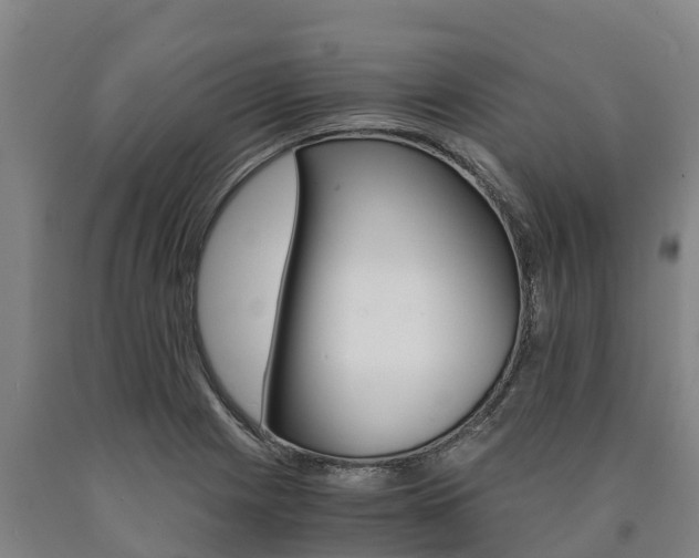 X0000090921225200707301047