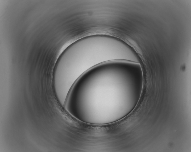 X0000090921226200707301047